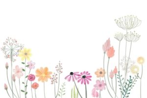 blåa blommor