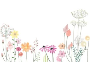 blåa blommor
