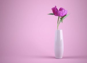 buske med vita blommor